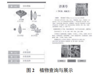 植物辨識交互系統(tǒng)的設(shè)計及實現(xiàn)