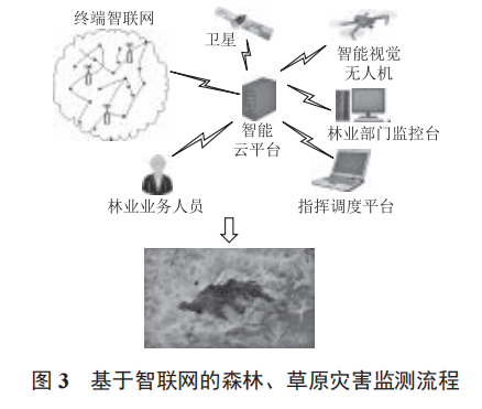 智聯(lián)網(wǎng)技術(shù)在林業(yè)信息化中的應(yīng)用研究