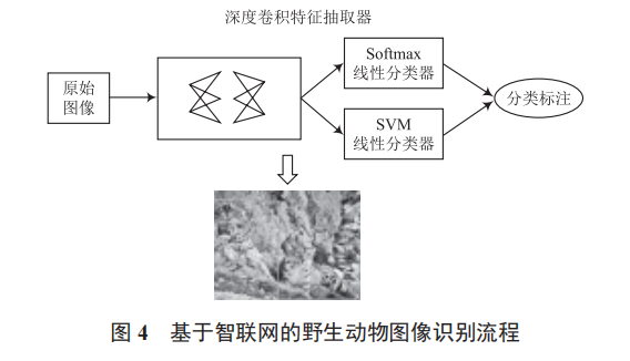 智聯(lián)網(wǎng)技術(shù)在林業(yè)信息化中的應(yīng)用研究