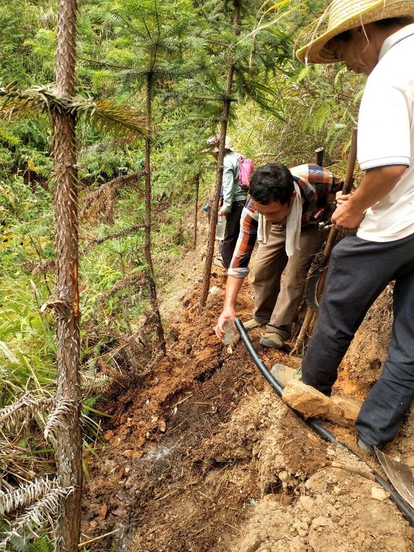 為了保證居民可以獲得干凈的水，村民在半山腰上開挖管溝和鋪設管道來減少水在運輸過程中被污染。