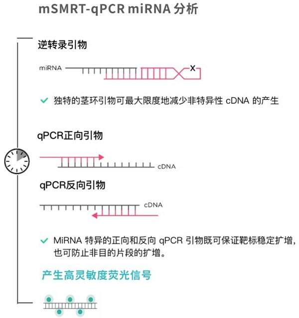 圖3.覓瑞獨特的三引物設計。