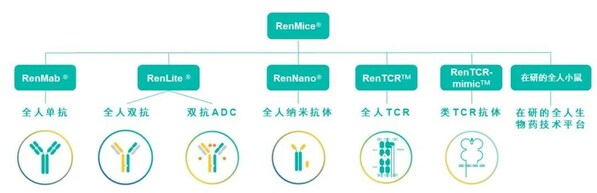 RenMice系列小鼠及應(yīng)用其構(gòu)建的全人抗體/TCR技術(shù)平臺