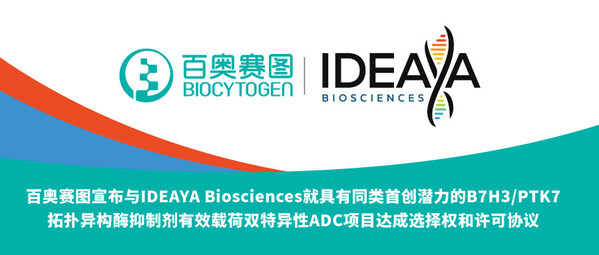 百奧賽圖宣布與IDEAYA Biosciences就具有同類首創(chuàng)潛力的B7H3/PTK7拓?fù)洚悩?gòu)酶抑制劑有效載荷雙特異性ADC項(xiàng)目達(dá)成選擇權(quán)和許可協(xié)議